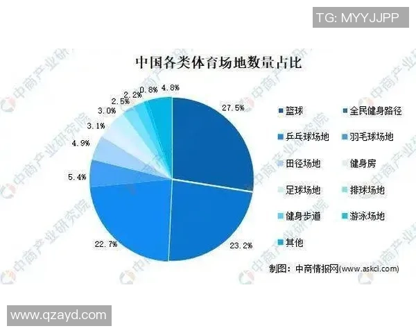 杭州足球队整体压制战术解析及其对比赛结果的影响分析